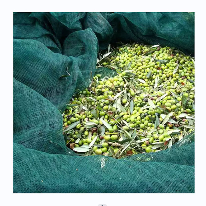 Harvest Olive Netting HDPE Knitted Green Olive Netting